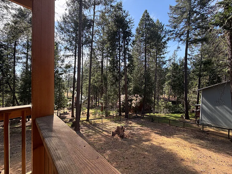 Backyard looking from covered deck