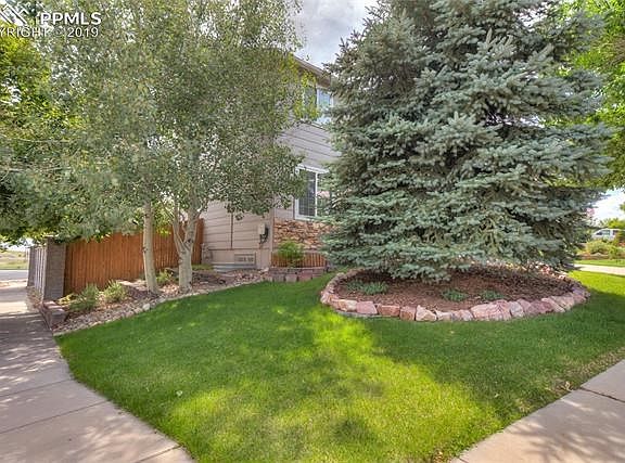 Luscious green grass.