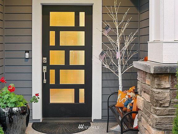 Modern design front door