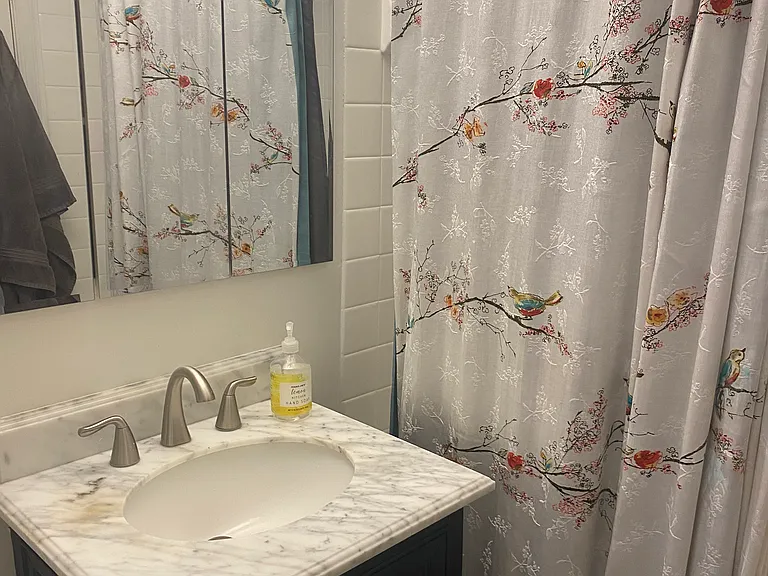 Bathroom on lower level