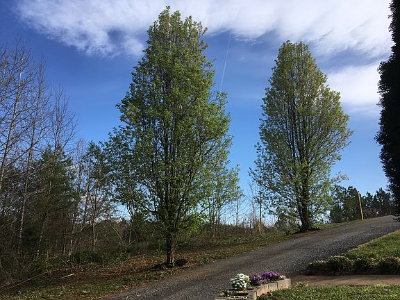 3rd image of 107 Stonebrook Dr