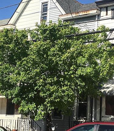4th image of 218 Jersey St