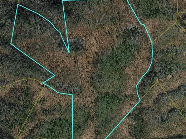 0 Buckwheat Rd, Mc Grady, NC 28649