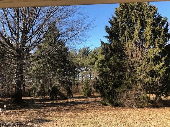 View from living room window