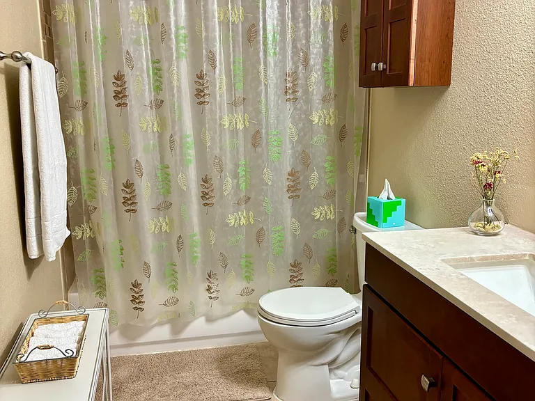 Full Bath/Shower, medicine chest, vanity