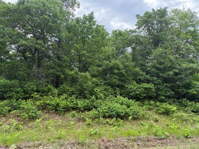 Lot 53 E Wilderness Court, Solon Springs, WI, 54873