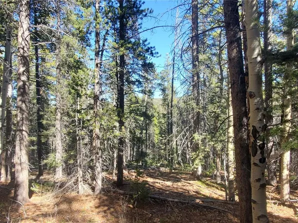 Lot 3023 & 3024 Bolwell Lane LOT 3023,3024, Fort Garland, CO 81133