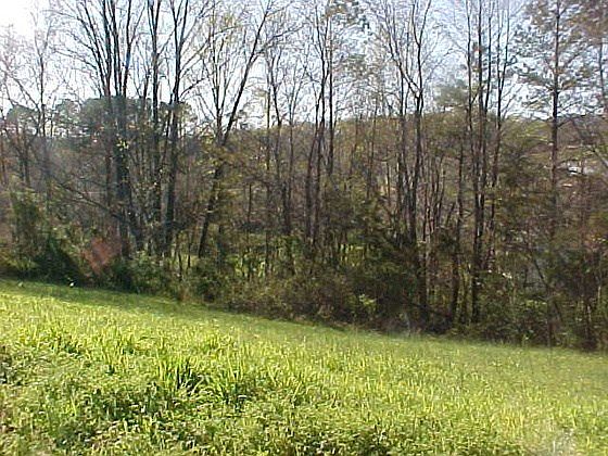 2nd image of 605 Clarks Mill Dr