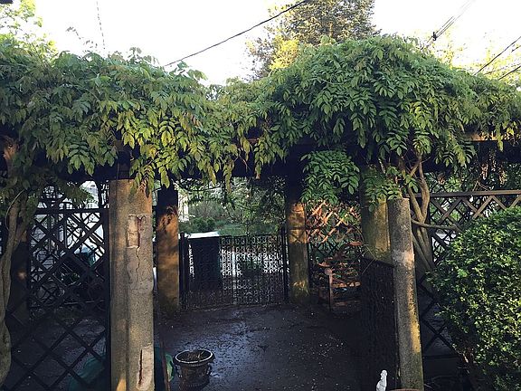 Pergola on side of house 