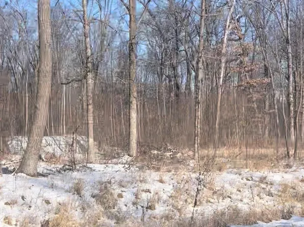 Holly Rd, Pine City, MN 55063