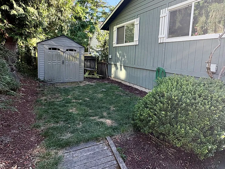 Small yard with an outdoor shed