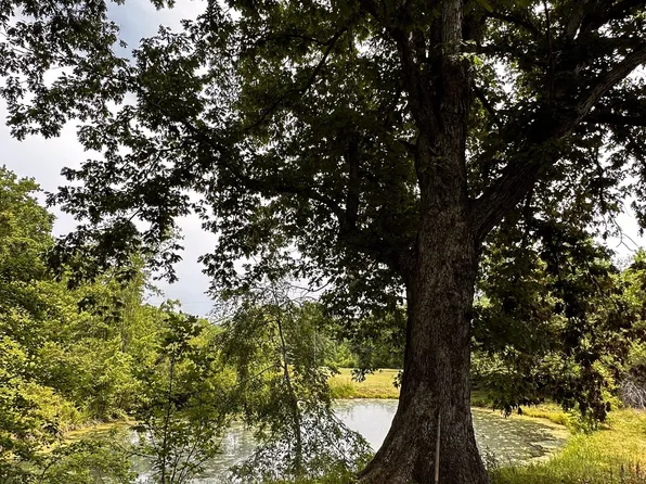 119 Rodger Carroll Rd, Hohenwald, TN 38462