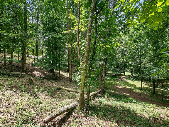 5th image of 12313 River Oaks Poin