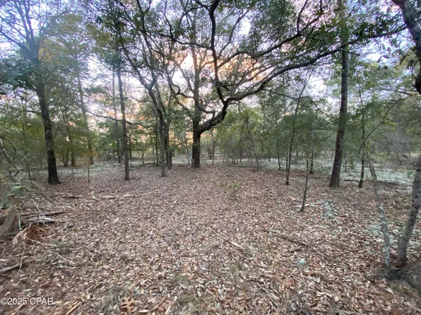 Xx Spendabuck Ct, Chipley, FL 32428