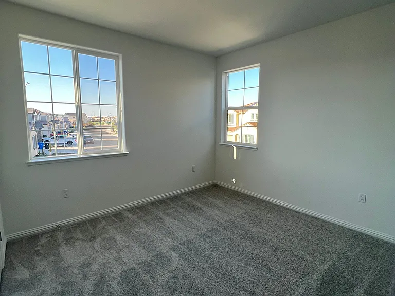 3137 Barnowl Way — Photo 39
