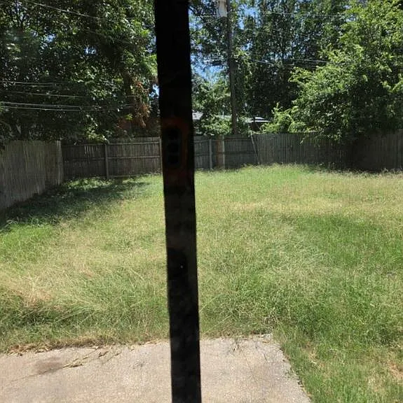 Picture 8