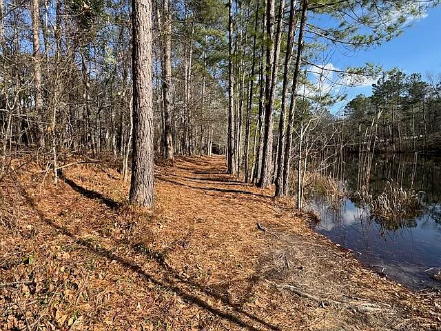 125 Golden Pond Ct — Photo 30