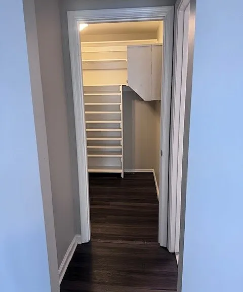 24975 Beavan Ct — Photo 11