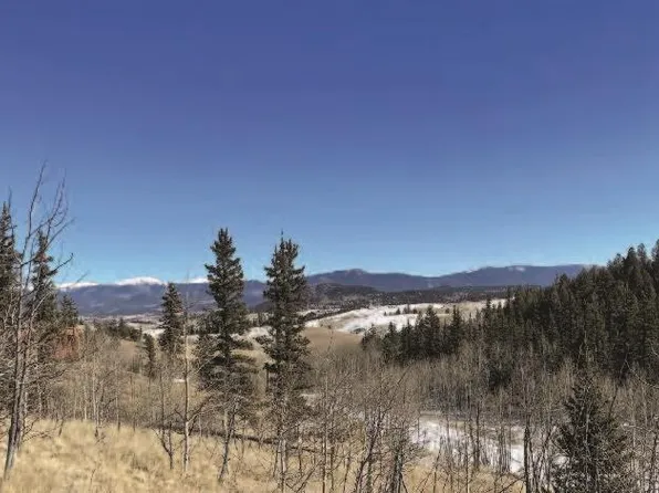 445 Spearpoint Road, Como, CO 80432