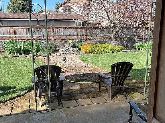 Backyard 1