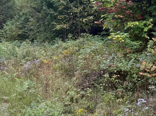 Morrison Creek Rd, Iron River, MI 49935