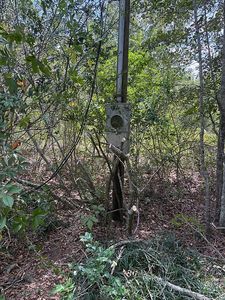 550 County Road 268, Newville, AL, 36353