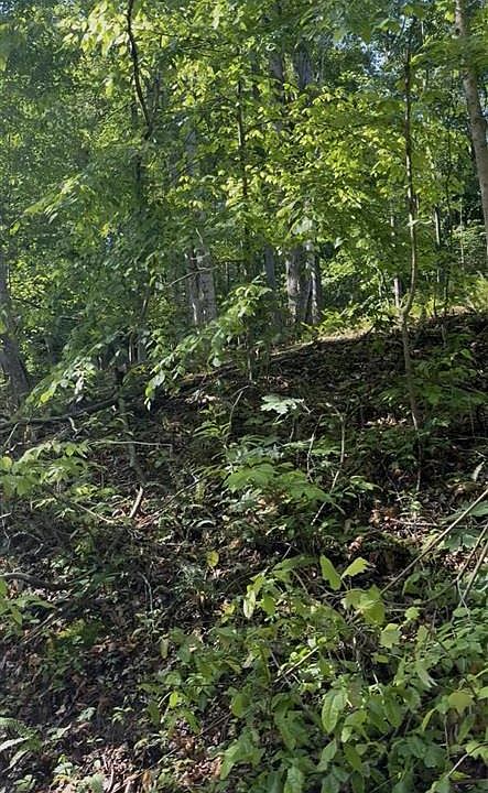 1st image of 142-144 Wilderness Rd