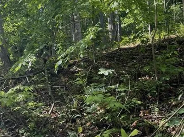 142-144 Wilderness Rd, Mammoth Cave, KY 42259