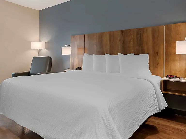 Studio Suite - 1 King Bed