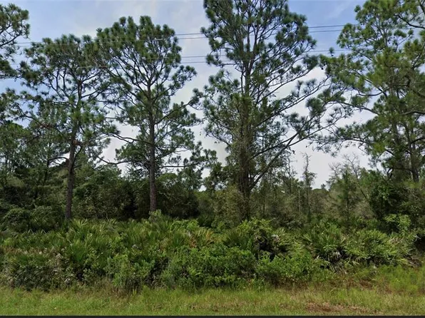 Royal Trails Rd Lot 12, Eustis, FL 32736