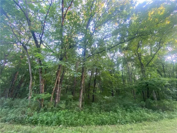 LOT 3198 Deer Run Ct, Gallatin, MO 64640