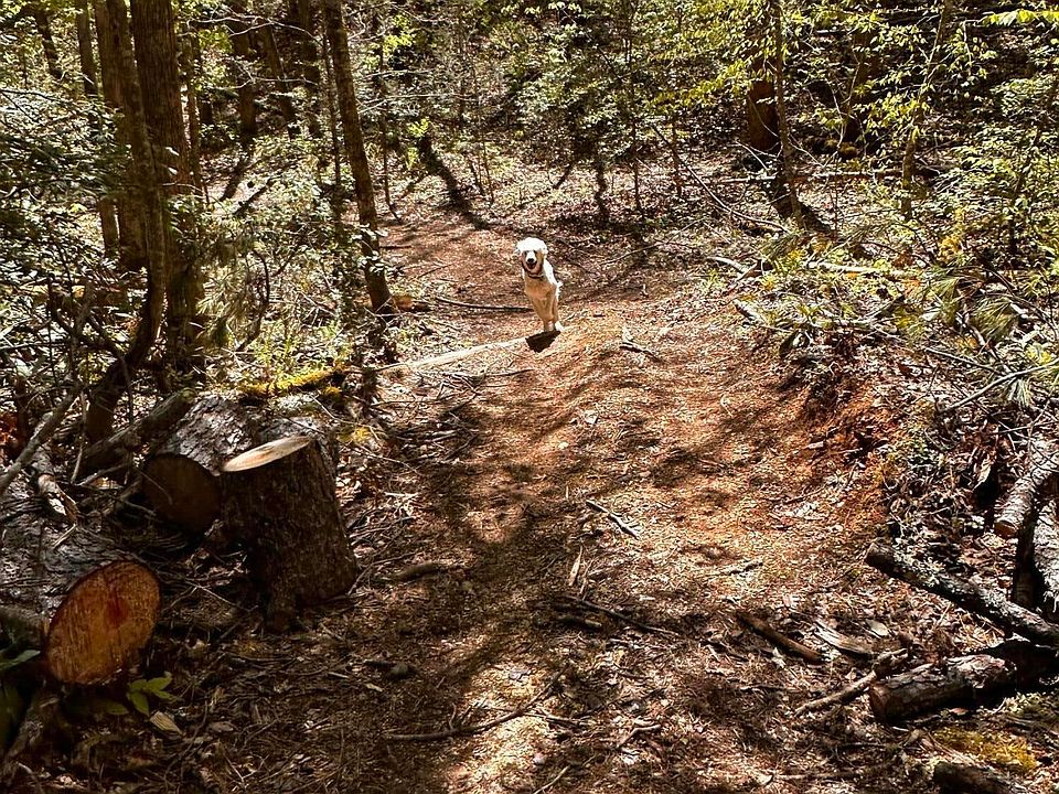 Mathis Branch Rd, Gatlinburg, TN 37738 Zillow