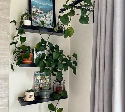 Actual photo of home- shelving in the living room