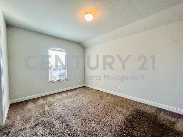 5644 Salt Springs Dr — Photo 11