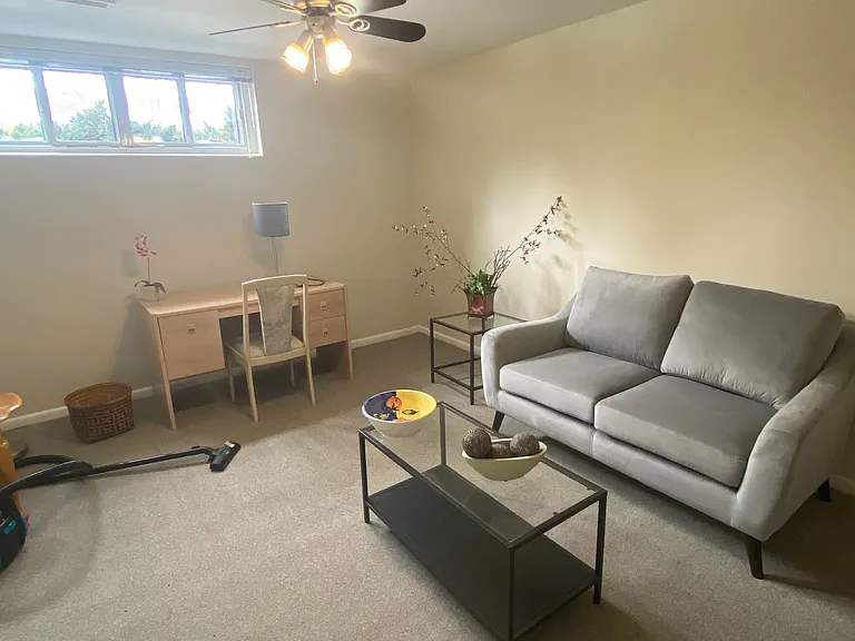 267 Maxwell St #LOWER — Photo 6