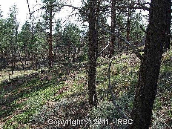 2nd image of 15437 Westcreek Rd