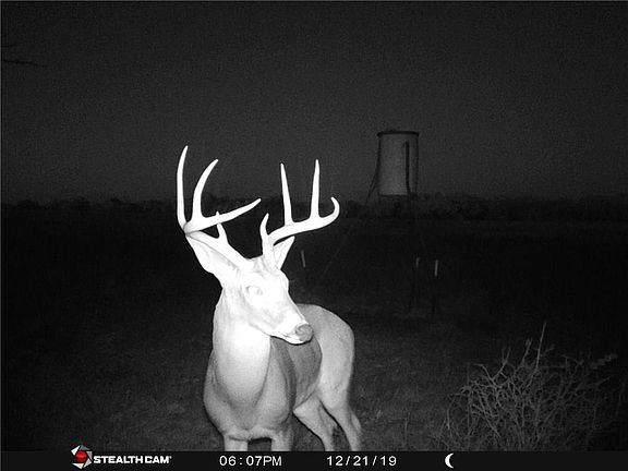 2nd image of 3370 County Road 236