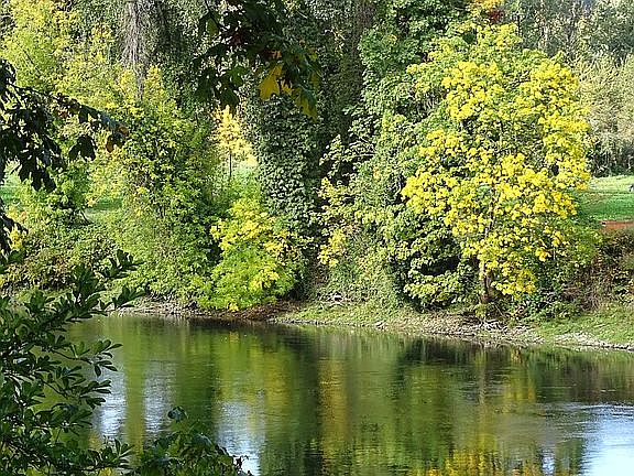 3rd image of 14531 S Clackamas River Dr