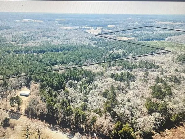 0 County Road 113, Brundidge, AL 36010