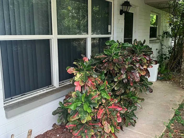 718 Jane Ave — Photo 10