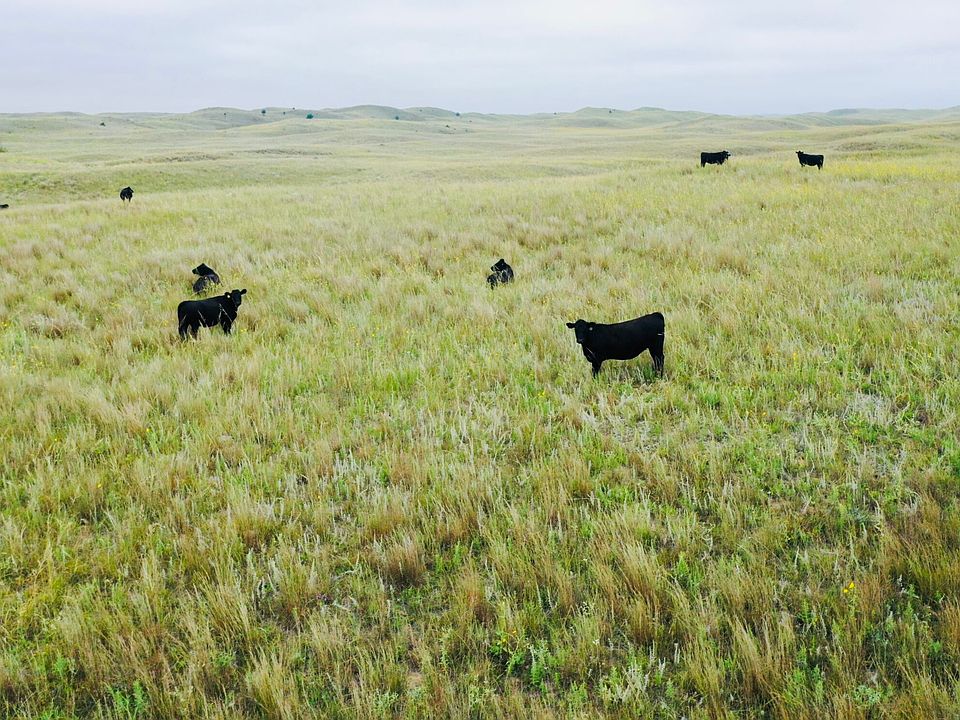 1st image of 755.90 / Acres