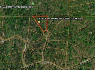 85 Via Massa, Dahlonega, GA 30533