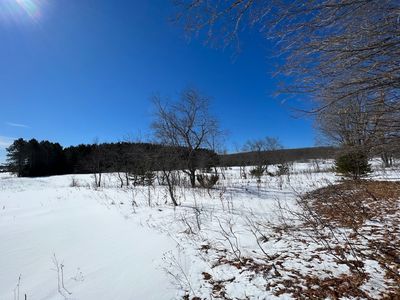 Beals Rd, Vanderbilt, MI, 49795