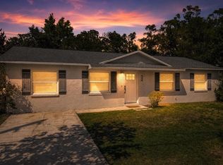 624 W New York Ave, Lake Helen, FL 32744