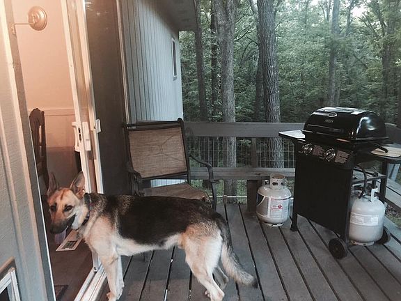 Back porch connects to the dog run. Overlook is beautiful an