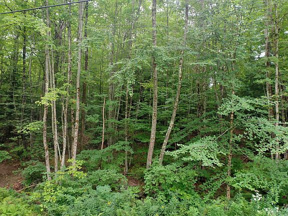 2nd image of 0 Guide Board Hill Road
