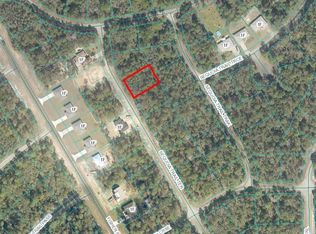 0 Sequoia Trail Ter #7, Ocklawaha, FL 32179