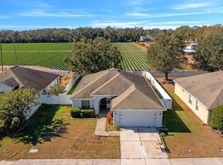 3609 Trapnell Grove Loop, Plant City, FL 33567