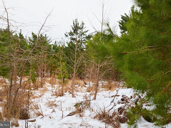 2nd image of Jutland Rd