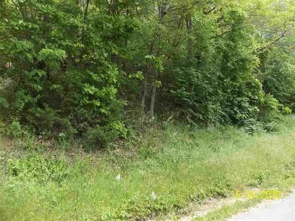 County Line Rd, Mooresburg, TN 37811